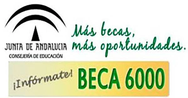 beca 6000 2018-2019