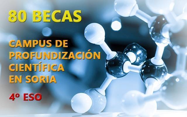 becas campus cientifico soria