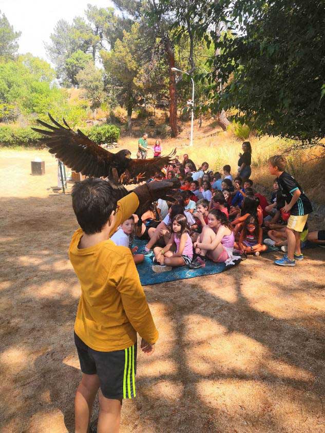 campamento bankia actividades