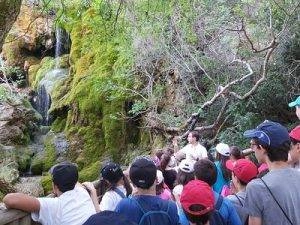 campamento cuenca tragacete