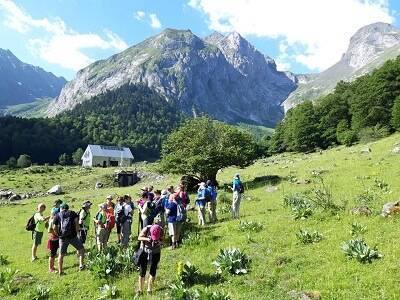 campamento fedme 2019 grupo