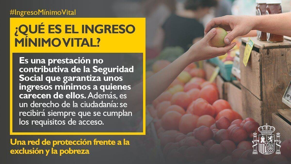 que es el ingreso minimo vital