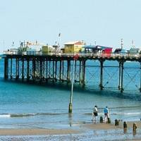 International Projects inglés en Teignmouth