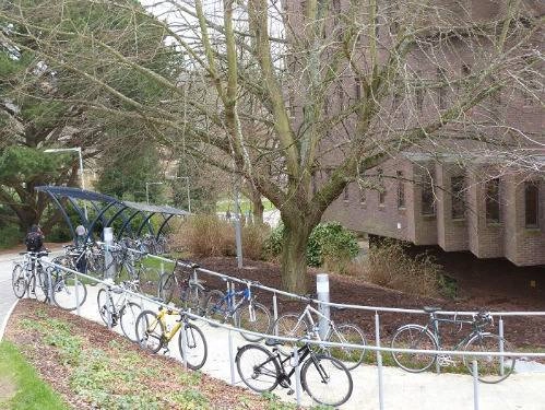 El servicio de aparcamientos seguros para bicicletas consigue en los  primeros días una gran acogida con 450 usuarios