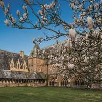 Kings College curso de inglés en St Michaels