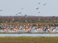 Viaje escolar a Doñana con multiaventura y playa de 3 a 5 días