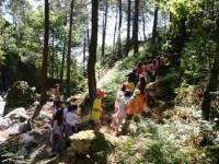 Excursión escolar a Las Dehesas de Cercedilla