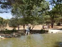 Excursión escolar al Pinar de Las Rozas, Madrid