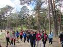 Club campamentos.info propone una excursión escolar de 1 día con actividades de senderismo y juegos de naturaleza en la Sierra de Madrid, recomendada 