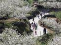 Club campamentos.info ofrece un viaje escolar con actividades multiaventura y culturales en el Valle del Jerte, Cáceres, para grupos escolares de Prim