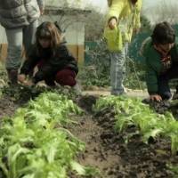 Alea Ocio granja escuela Madrid El Álamo