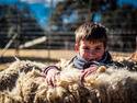 La Granja Escuela El Álamo y la Granja Infantil Giraluna ofrecen sus campamentos de verano 2019 de naturaleza e inglés con opciones de internos y exte