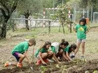 Campamento Héroes del Hábitat de Leroy Merlin en Valencia